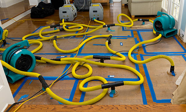 Professional Water Extraction technician working in Dale, WI